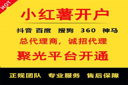 数据分析助力信息流广告：某品牌成功案例揭秘
